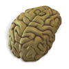 Brain image